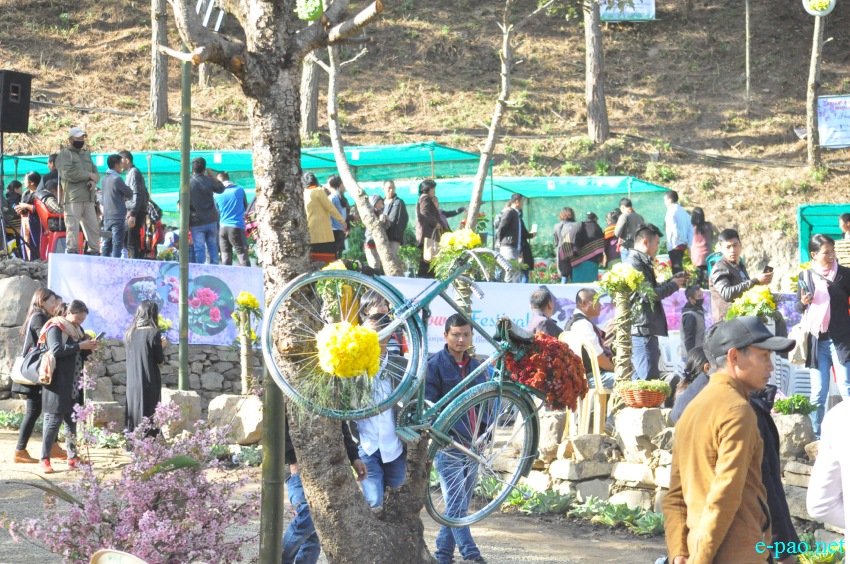 Crowd at 3rd Flower Festival  / 1st Cherry Blossom Festival at Kayinu Village, Mao :: 26th - 28th November 2017
