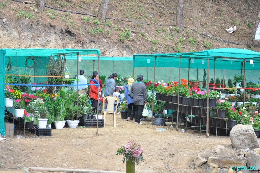 Crowd at 3rd Flower Festival  / 1st Cherry Blossom Festival at Kayinu Village, Mao :: 26th - 28th November 2017