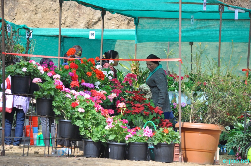 Crowd at 3rd Flower Festival  / 1st Cherry Blossom Festival at Kayinu Village, Mao :: 26th - 28th November 2017
