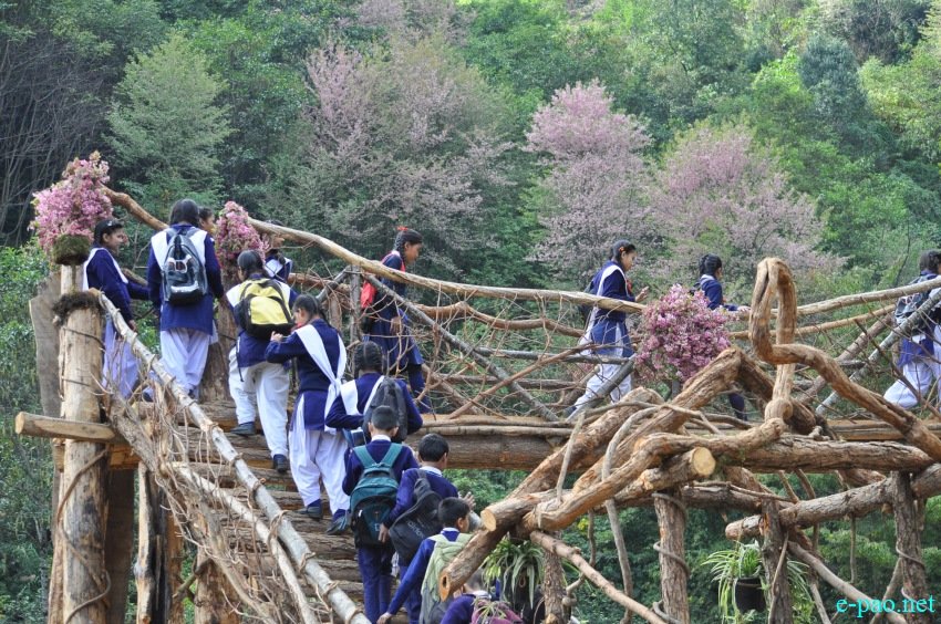 Crowd at 3rd Flower Festival  / 1st Cherry Blossom Festival at Kayinu Village, Mao :: 26th - 28th November 2017