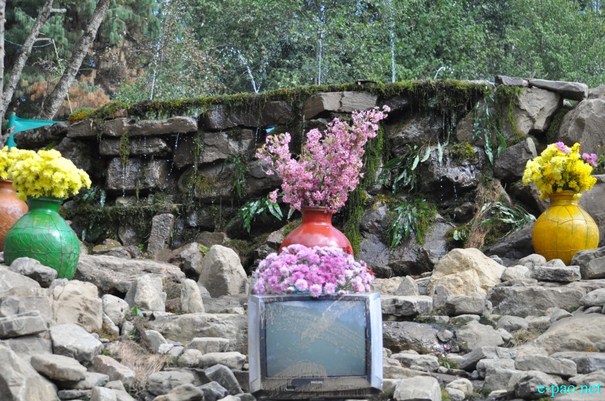 3rd Flower Festival / Manipur's 1st Cherry Blossom Festival at Kayinu Village, Mao :: 26th - 28th November 2017