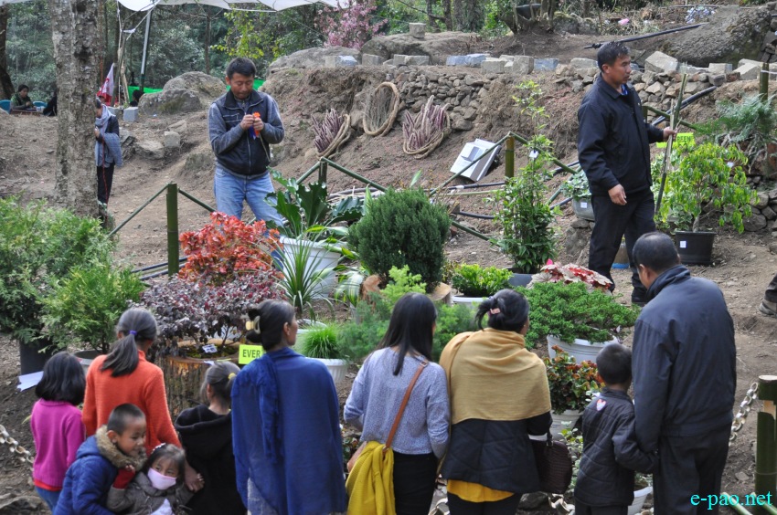 3rd Flower Festival / Manipur's 1st Cherry Blossom Festival at Kayinu Village, Mao :: 26th - 28th November 2017