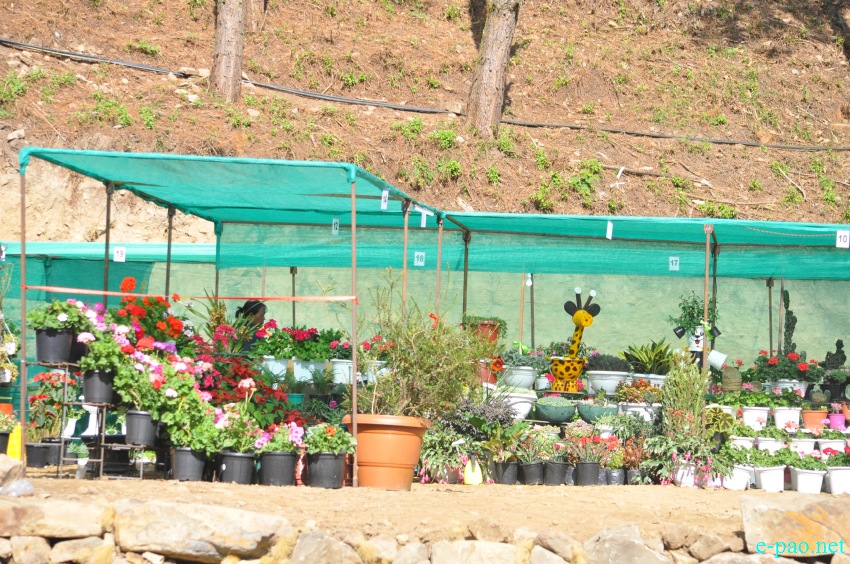 3rd Flower Festival / Manipur's 1st Cherry Blossom Festival at Kayinu Village, Mao :: 26th - 28th November 2017