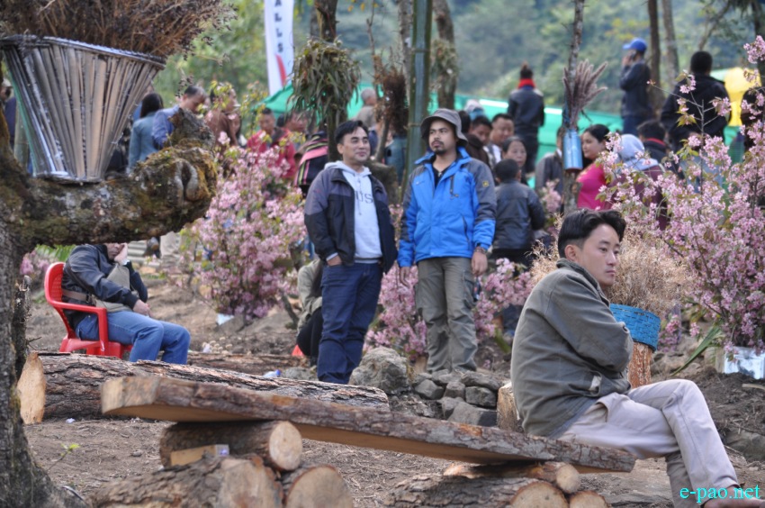 3rd Flower Festival / Manipur's 1st Cherry Blossom Festival at Kayinu Village, Mao :: 26th - 28th November 2017