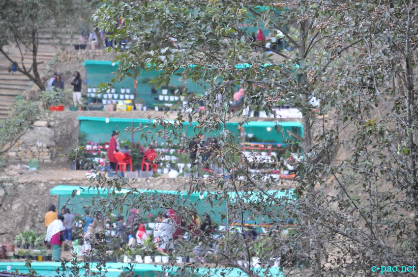 3rd Flower Festival / Manipur's 1st Cherry Blossom Festival at Kayinu Village, Mao :: 26th - 28th November 2017
