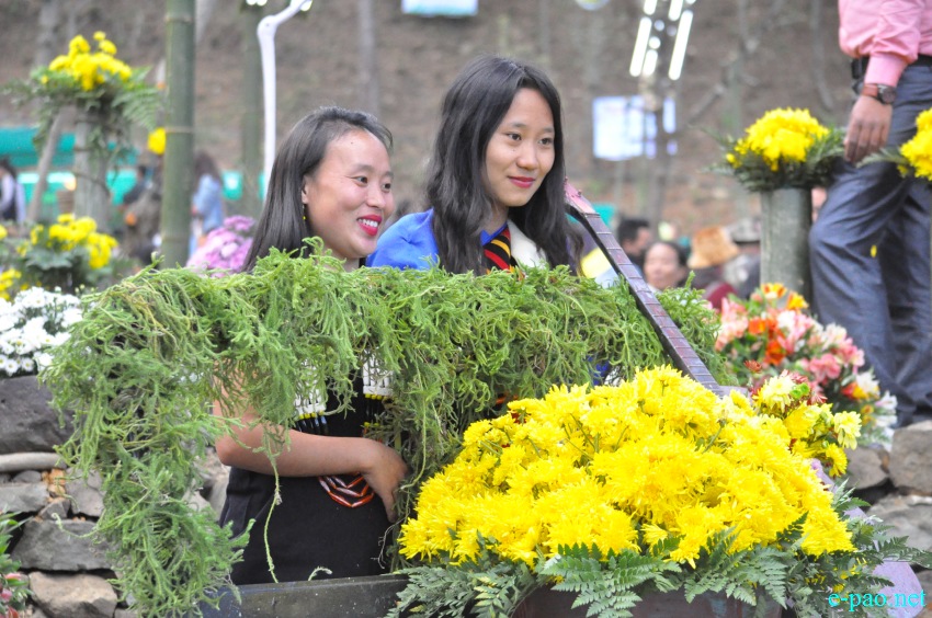 3rd Flower Festival / Manipur's 1st Cherry Blossom Festival at Kayinu Village, Mao :: 26th - 28th November 2017