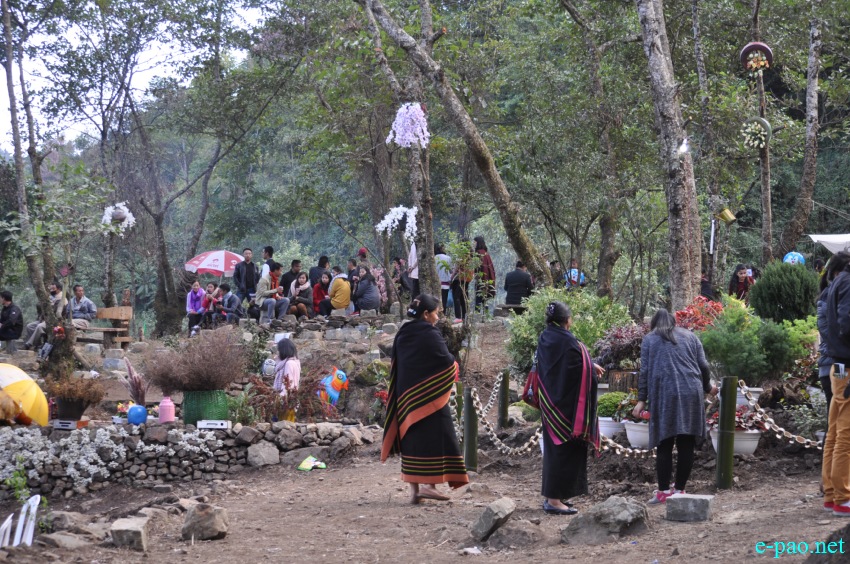 3rd Flower Festival / Manipur's 1st Cherry Blossom Festival at Kayinu Village, Mao :: 26th - 28th November 2017