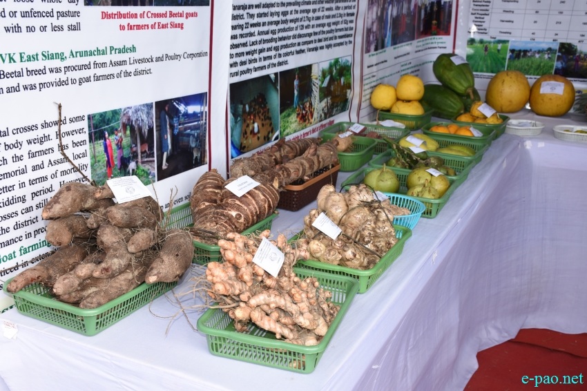  Agri Fair 2018 at Central Agricultural University (CAU) at Iroisemba, Imphal, Manipur from 11th January to 13th January 2019  