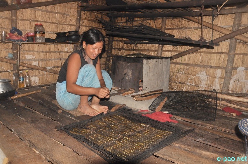 Preparation of Dry Fish: essential item in Manipuri cuisine at Thanga, Moirang :: July 13, 2014