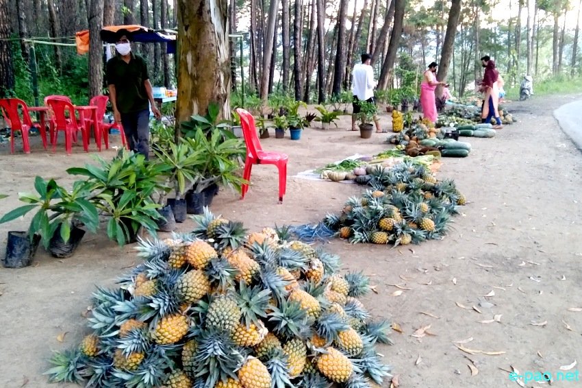 Pineapple sold at the road side of Ngariyan Hills in Imphal East, Manipur :: 12th July 2021