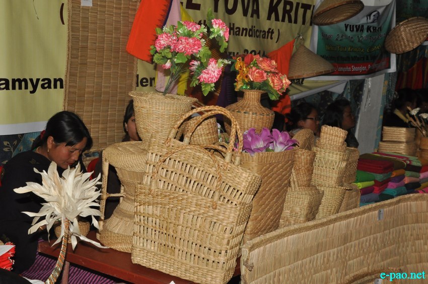 Handicrafts and Handloom Display at State Level Youth Festival at Lamyanba Sanglen, Imphal :: 27 Feb 2014