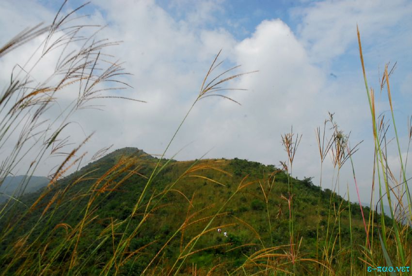 Landscape view of Koirengei, Lamphel and Imphal areas from Langol hill range :: November 2013