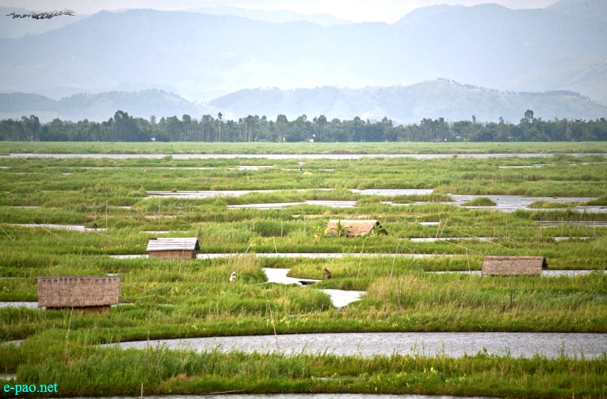 Landscape Photos from Manipur :: July 2013