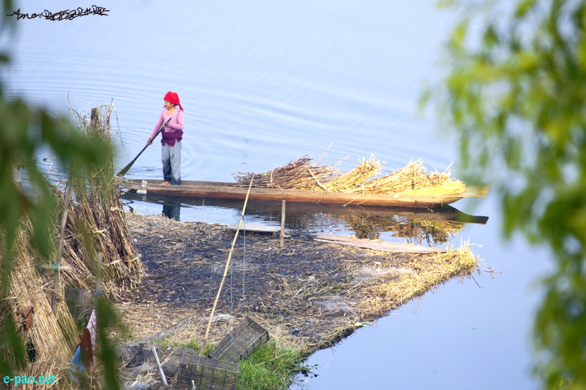 Landscape Photos from Manipur :: July 2013