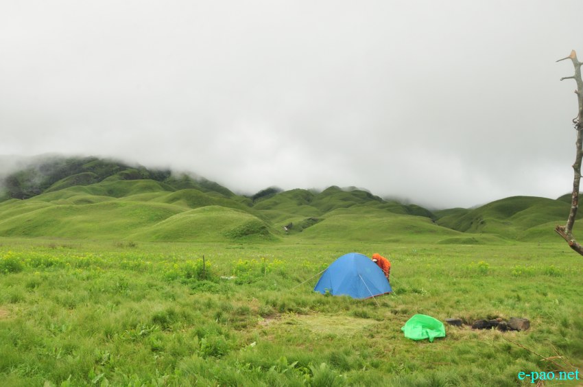 Trekking to  Dzuko Valley in Manipur , Manipur :: Second Week June 2014
