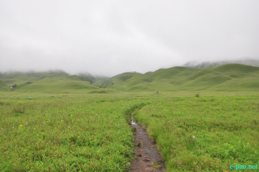 Trekking to  Dzuko Valley in Manipur , Manipur :: Second Week June 2014