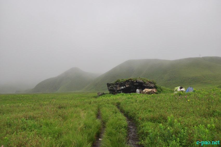 Trekking to  Dzuko Valley in Manipur , Manipur :: Second Week June 2014