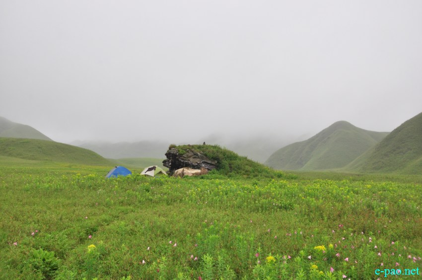 Trekking to  Dzuko Valley in Manipur , Manipur :: Second Week June 2014