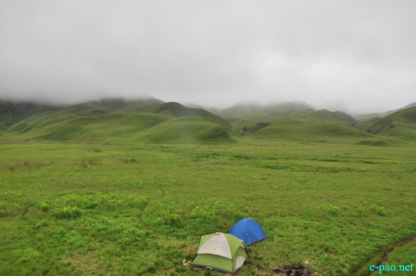 Trekking to  Dzuko Valley in Manipur , Manipur :: Second Week June 2014
