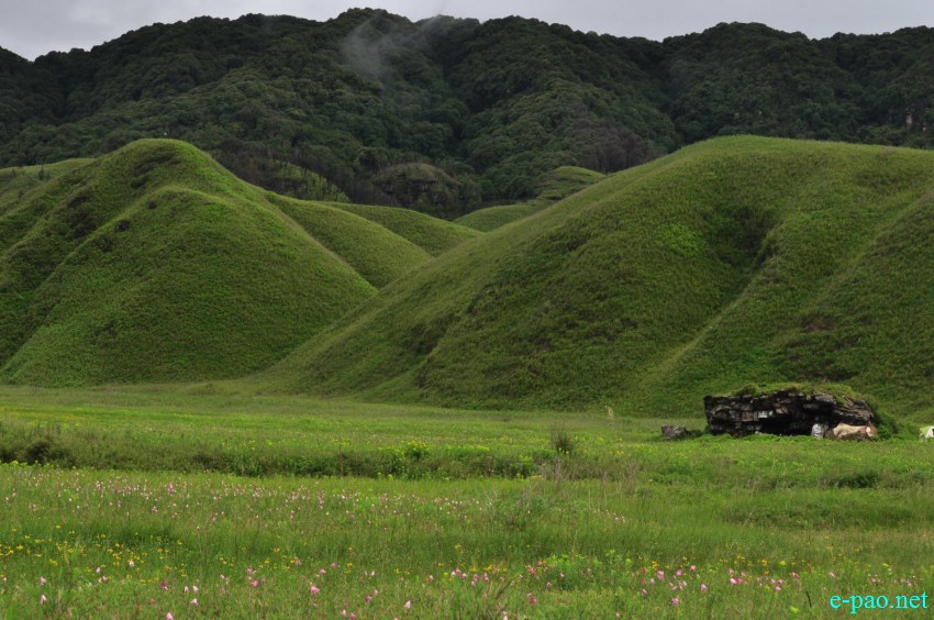 Trekking to  Dzuko Valley in Manipur , Manipur :: Second Week June 2014