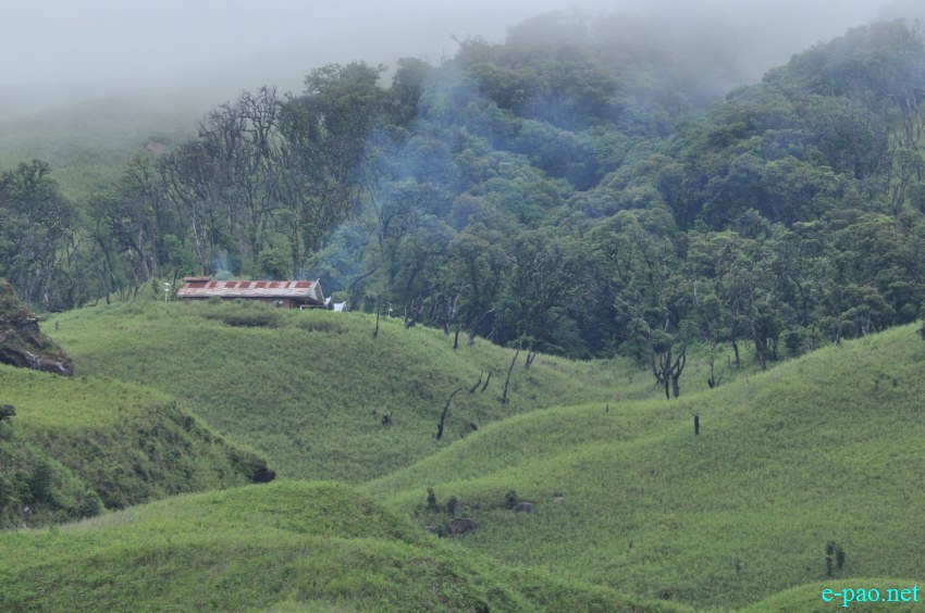 Trekking to  Dzuko Valley in Manipur , Manipur :: Second Week June 2014