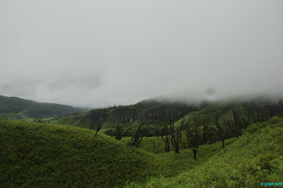 The pristine summer landscape of Dzuko Valley , Manipur :: Second Week June 2014