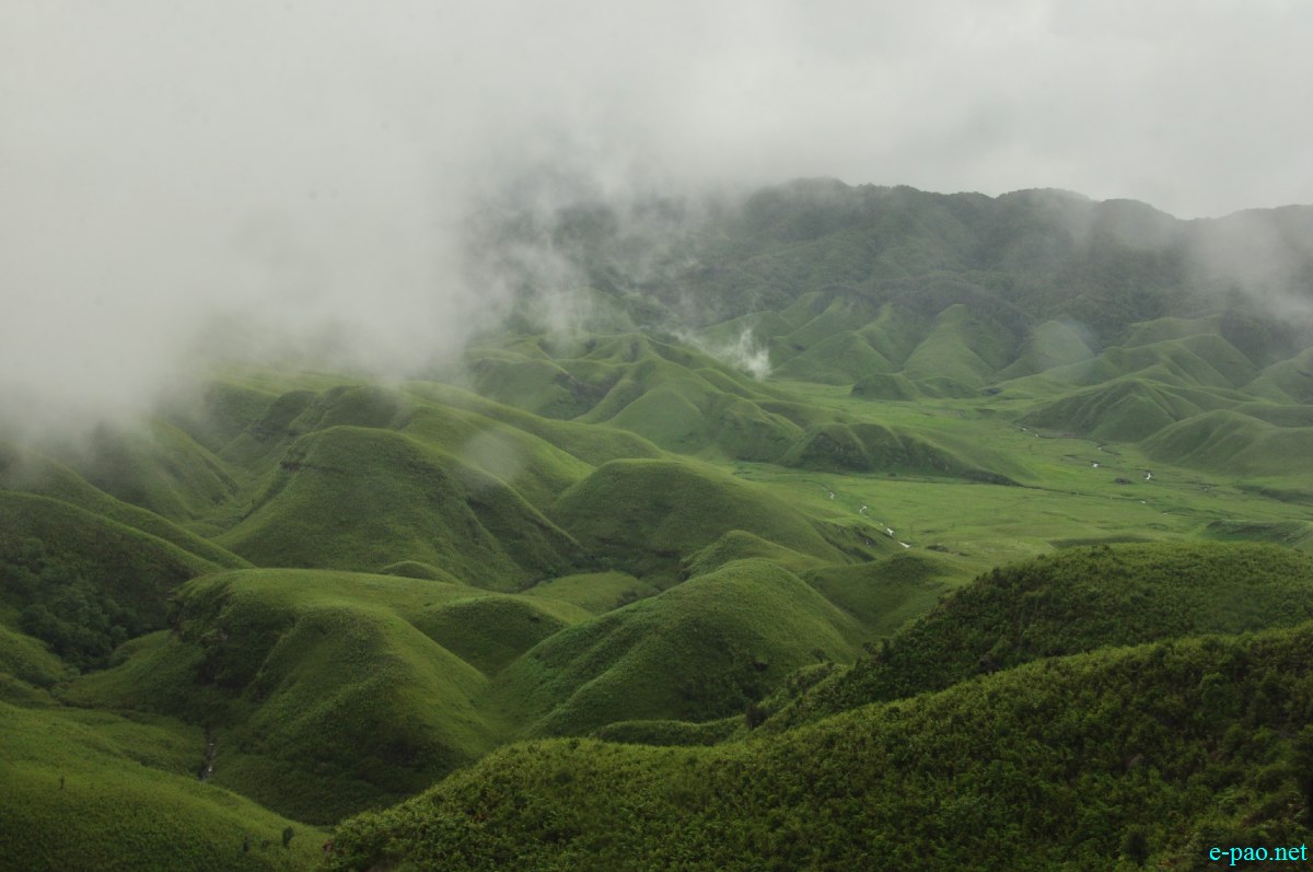 The pristine summer landscape of Dzuko Valley , Manipur :: Second Week June 2014