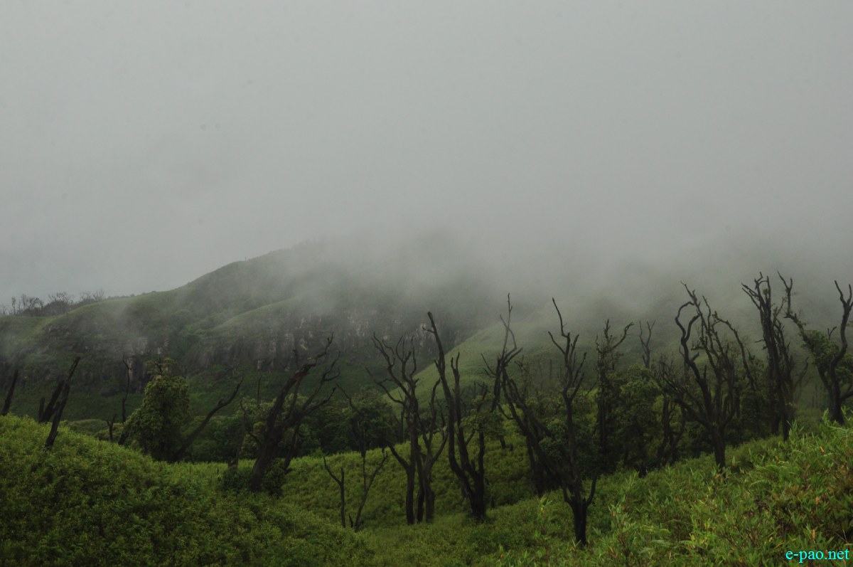 The pristine summer landscape of Dzuko Valley , Manipur :: Second Week June 2014