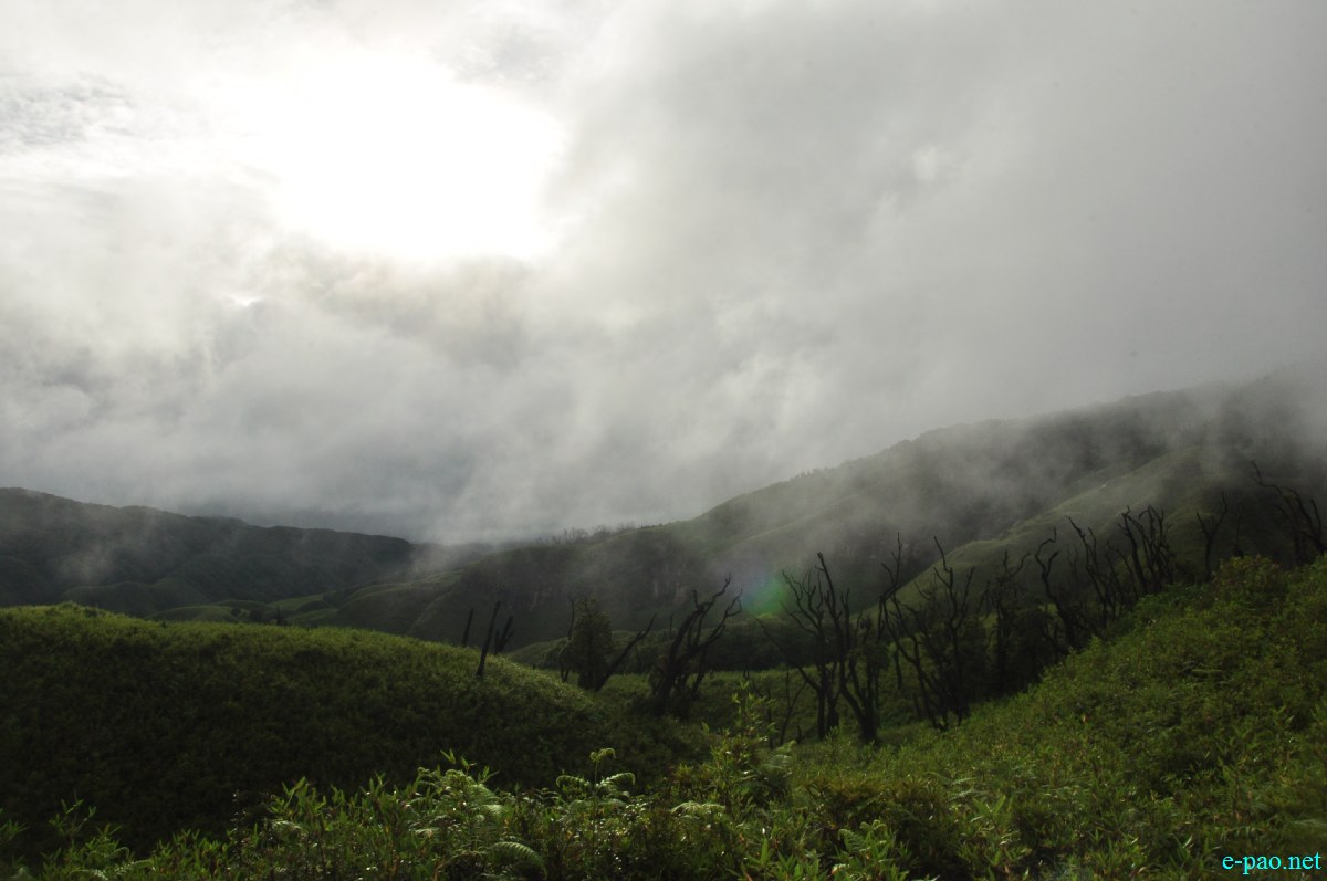 The pristine summer landscape of Dzuko Valley , Manipur :: Second Week June 2014