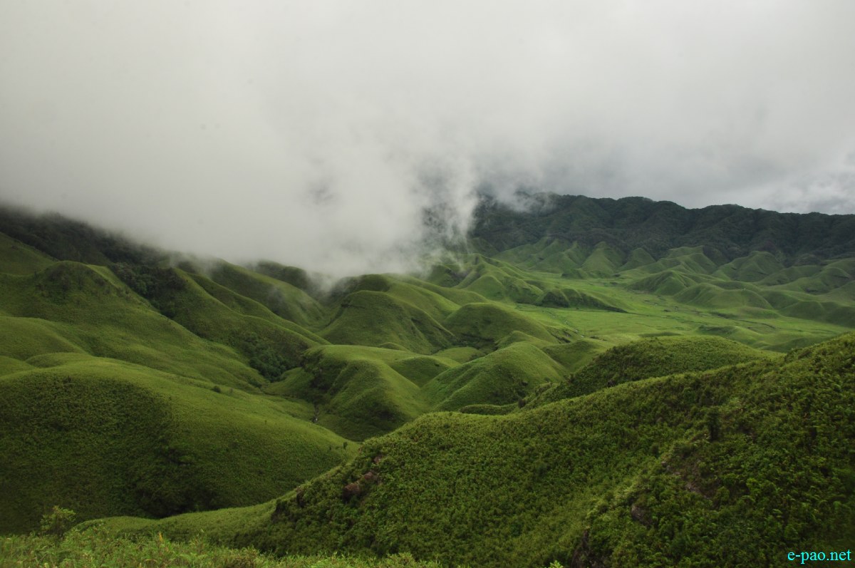 The pristine summer landscape of Dzuko Valley , Manipur :: Second Week June 2014