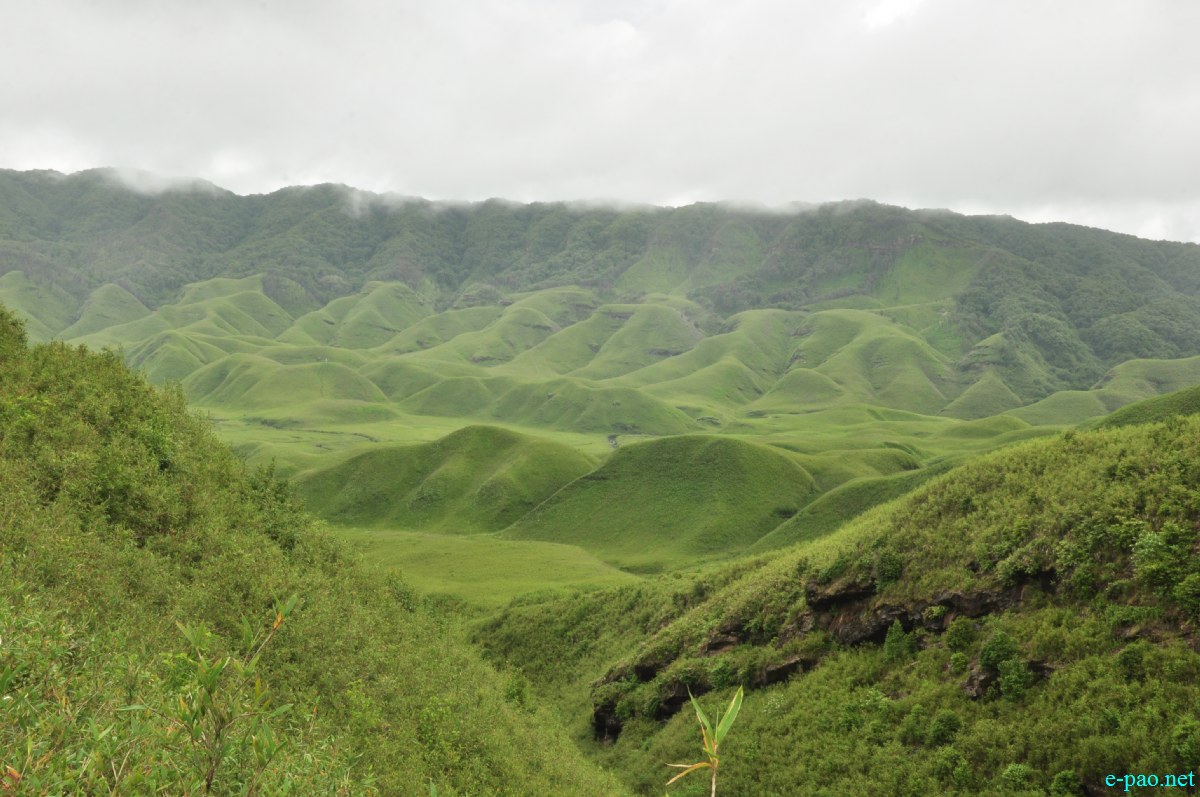 The pristine summer landscape of Dzuko Valley , Manipur :: Second Week June 2014
