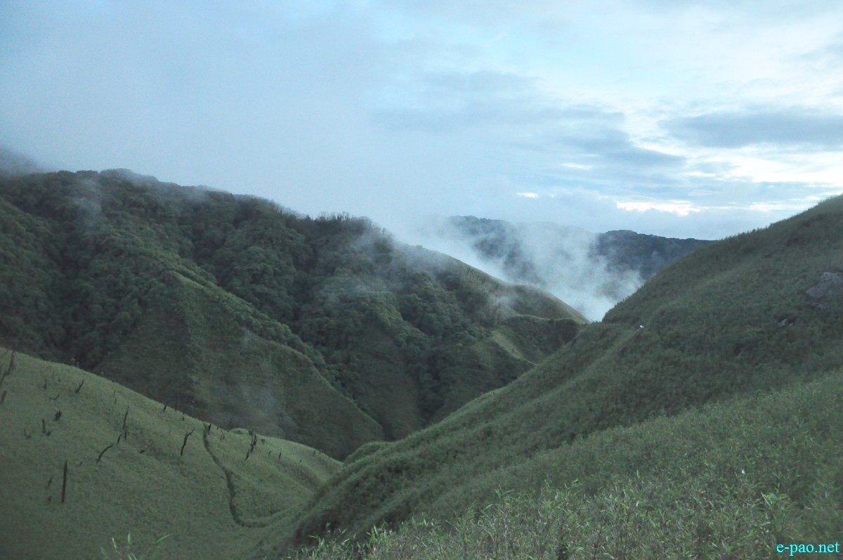 The pristine summer landscape of Dzuko Valley , Manipur :: Second Week June 2014