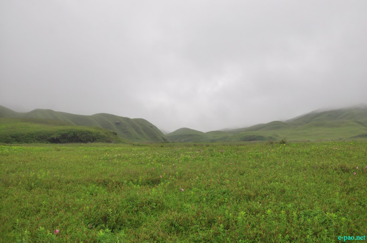 The pristine summer landscape of Dzuko Valley , Manipur :: Second Week June 2014