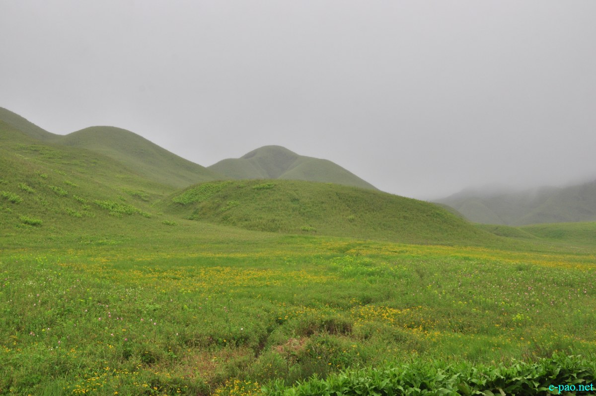 The pristine summer landscape of Dzuko Valley , Manipur :: Second Week June 2014