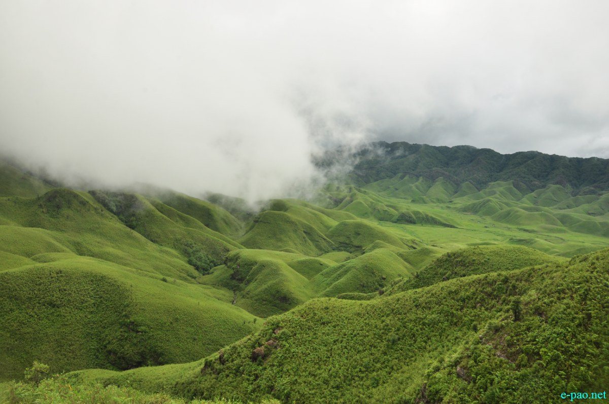 The pristine summer landscape of Dzuko Valley , Manipur :: Second Week June 2014