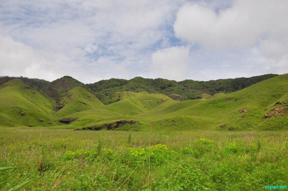The pristine summer landscape of Dzuko Valley , Manipur :: Second Week June 2014