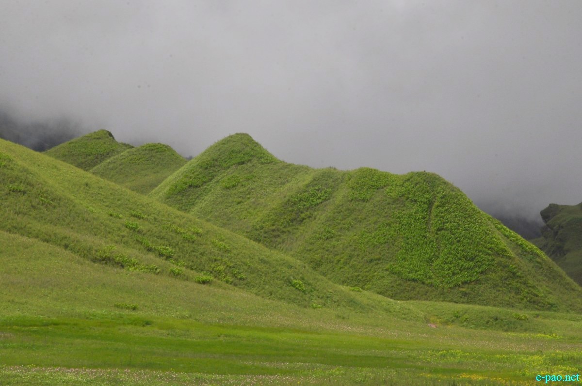 The pristine summer landscape of Dzuko Valley , Manipur :: Second Week June 2014
