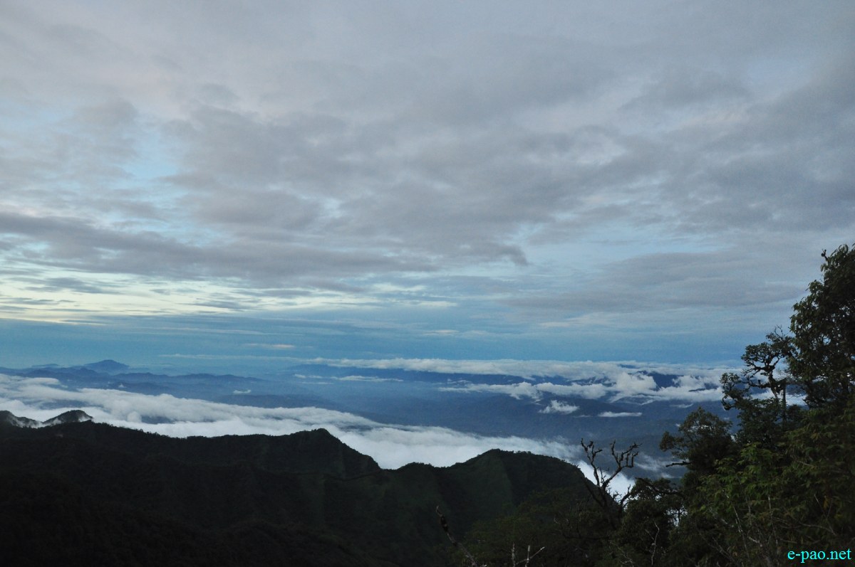 The pristine summer landscape of Dzuko Valley , Manipur :: Second Week June 2014