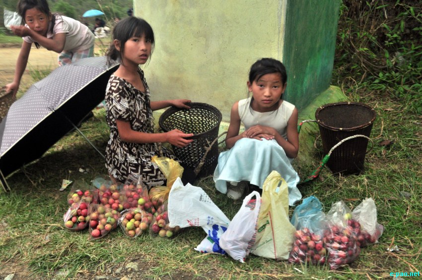 Shirui Ching Kaba : landscape of Shirui (Siroy) Hills :: Third Week May 2014