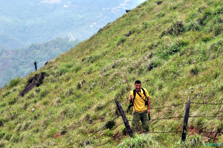 Shirui Ching Kaba : landscape of Shirui (Siroy) Hills :: Third Week May 2014