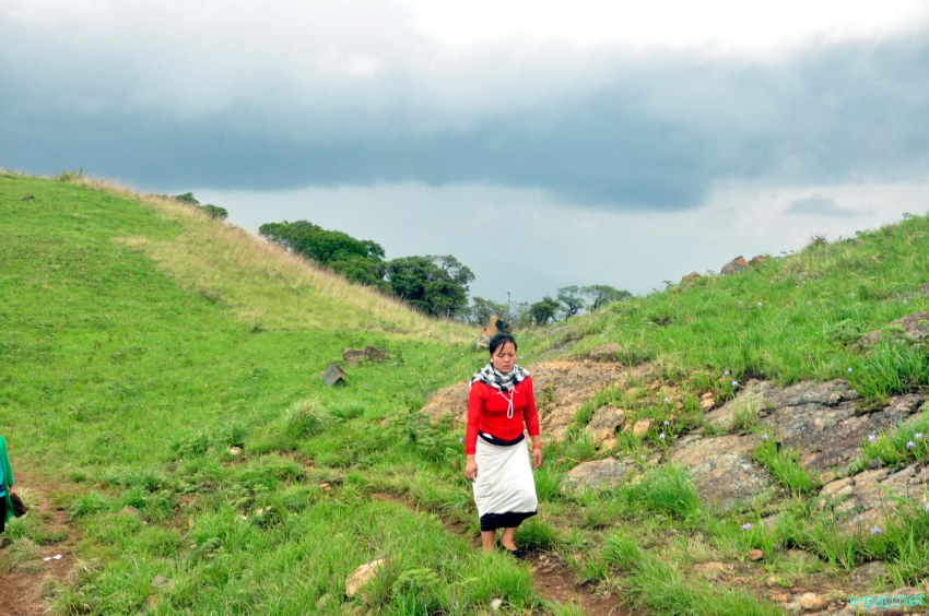 Shirui Ching Kaba : landscape of Shirui (Siroy) Hills :: Third Week May 2014