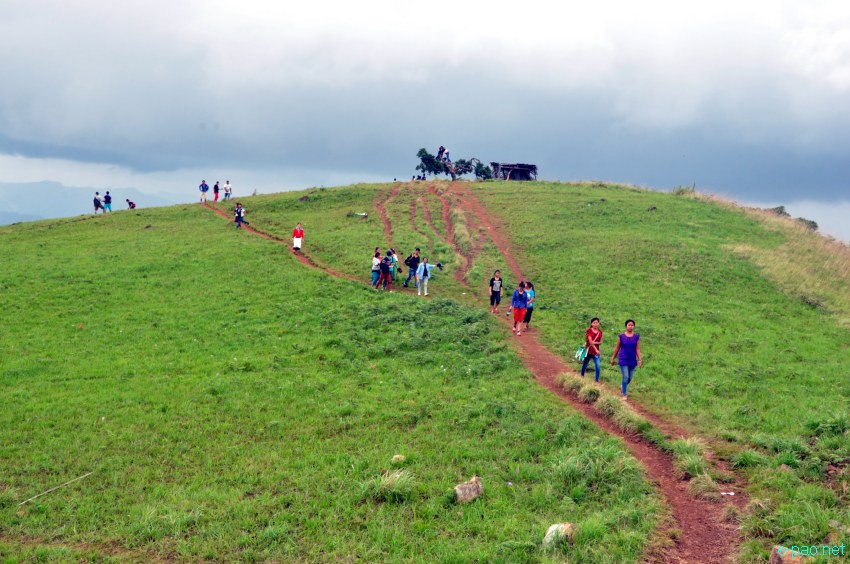 Shirui Ching Kaba : landscape of Shirui (Siroy) Hills :: Third Week May 2014