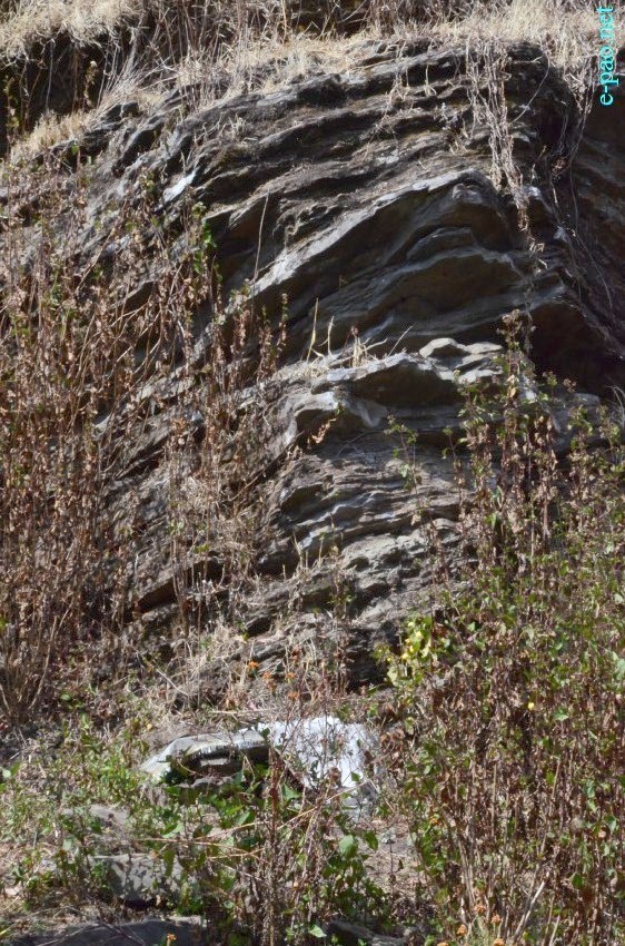 Foot-hills of Kounu Lairembi at Senjam Chirang, Konsa Khul village, Senapati District :: 20th Feb 2015