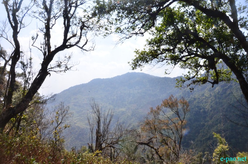 Foot-hills of Kounu Lairembi at Senjam Chirang, Konsa Khul village, Senapati District :: 20th Feb 2015