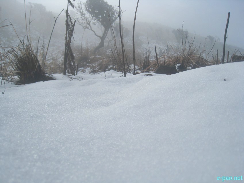 Snowfall in Shirui Peak , Ukhrul, Manipur :: January 10 2015
