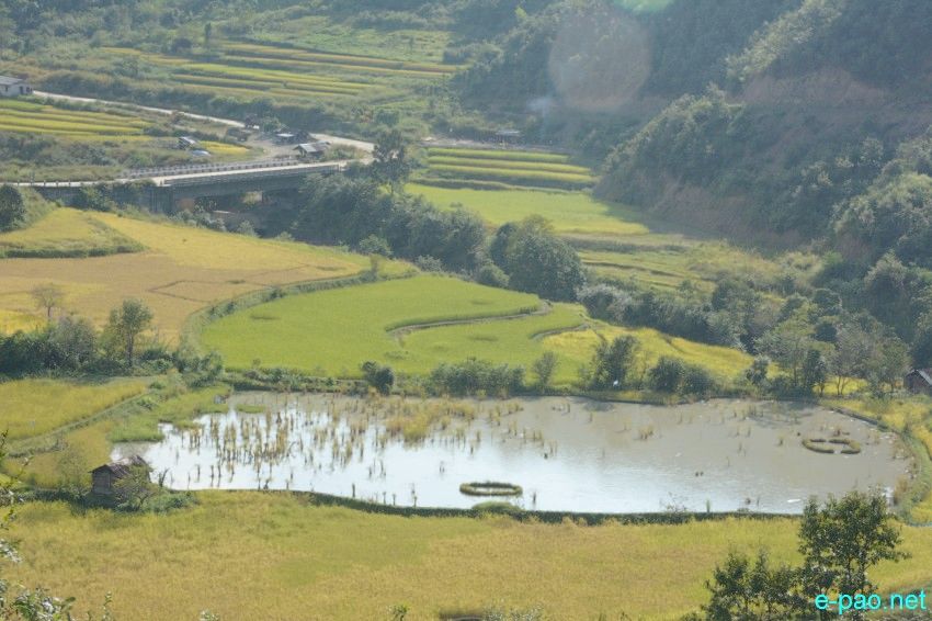 The verdant hills landscape of Ukhrul :: 17 October 2015