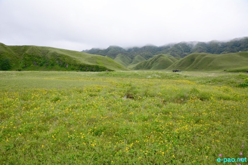 Beautiful Landscape of Dzukou Valley in Senapati district, Manipur :: second week of June 2016