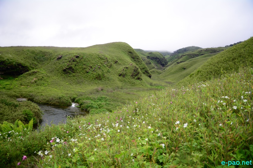 Beautiful Landscape of Dzukou Valley in Senapati district, Manipur :: second week of June 2016