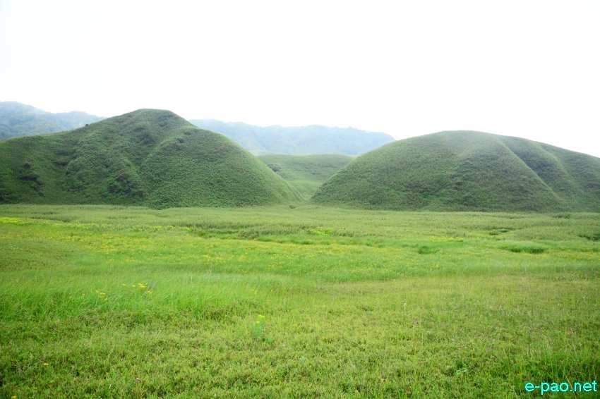 Beautiful Landscape of Dzukou Valley in Senapati district, Manipur :: second week of June 2016