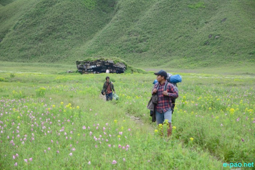 Trekking to Dzukou Valley in Senapati district, Manipur :: second week of June 2016